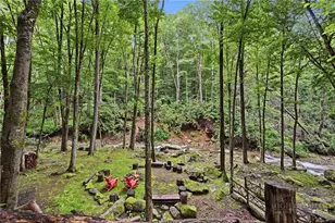 232 The Glens Blvd, Banner Elk, NC 28604 - Photo 43