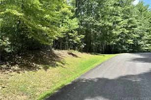 Tbd/Lot 48 Woodland Valley Rd, Jefferson, NC 28640 - Photo 1