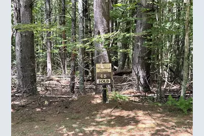 Tbd/Lot 48 Woodland Valley Road, Jefferson, NC 28640 - Photo 5
