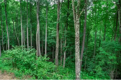 V-66 Featherstone Trace, Banner Elk, NC 28604 - Photo 5