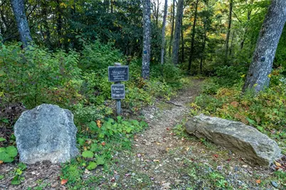 V-66 Featherstone Trace, Banner Elk, NC 28604 - Photo 27