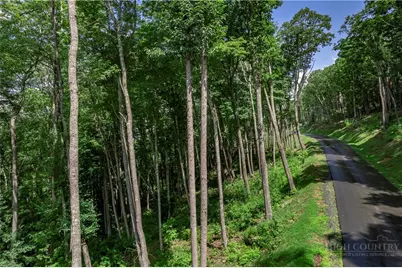 S-90 Talon Drive, Banner Elk, NC 28604 - Photo 3