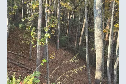 930 Falcon Ridge Drive, West Jefferson, NC 28694 - Photo 21
