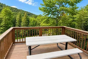 101 Hornbeam Rd, Banner Elk, NC 28604 - Photo 29