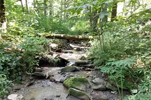 Lot 4 Larkspur Trail, Banner Elk, NC 28604 - Photo 1