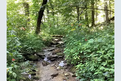 Lot 4 Larkspur Trail, Banner Elk, NC 28604 - Photo 7