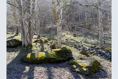 Lot 4 Larkspur Trail, Banner Elk, NC 28604 - Photo 9