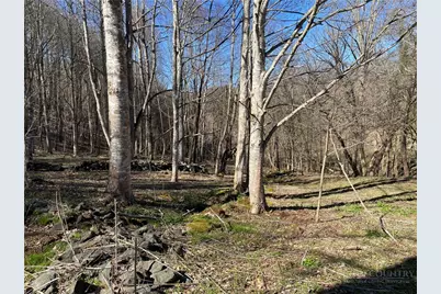 Lot 4 Larkspur Trail, Banner Elk, NC 28604 - Photo 3