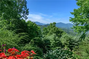 558 Husky Mountain Rd, Vilas, NC 27278 - Photo 43