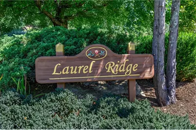 558 Husky Mountain Road, Vilas, NC 27278 - Photo 49