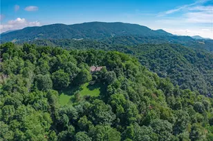 558 Husky Mountain Rd, Vilas, NC 27278 - Photo 41