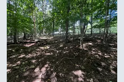 208 Pine Ridge Road, Beech Mountain, NC 28604 - Photo 5