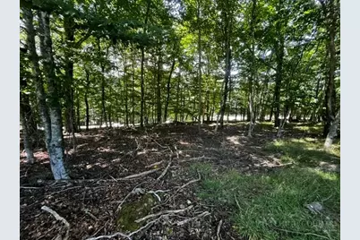 208 Pine Ridge Road, Beech Mountain, NC 28604 - Photo 9