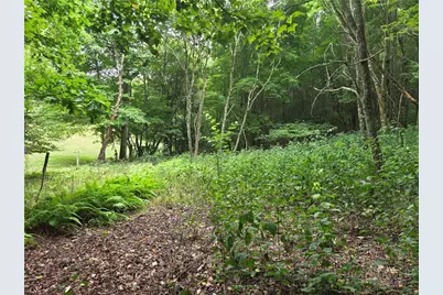 701 Pigeon Roost Road, Banner Elk, NC 28604 - Photo 3