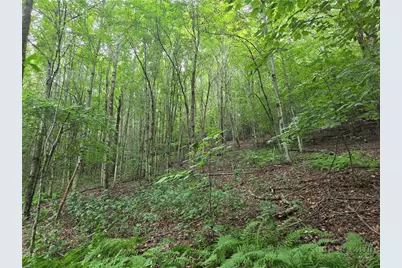 701 Pigeon Roost Road, Banner Elk, NC 28604 - Photo 17