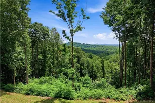 1288 Johns Ridge Pkwy, Lenoir, NC 28645 - Photo 1
