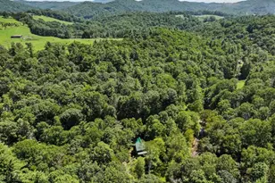 171 Grouse Covert Rd, Boone, NC 28607 - Photo 47