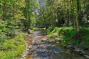 171 Grouse Covert Rd, Boone, NC 28607 - Photo 5