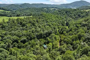 171 Grouse Covert Rd, Boone, NC 28607 - Photo 45