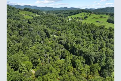 171 Grouse Covert Road, Boone, NC 28607 - Photo 49