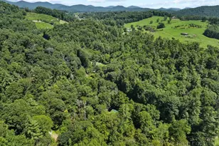 171 Grouse Covert Rd, Boone, NC 28607 - Photo 49