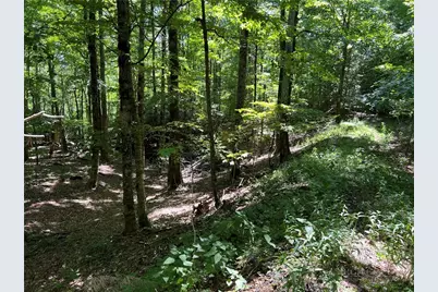 Tbd Maple Branch Road, West Jefferson, NC 28694 - Photo 1