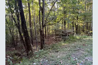 Tbd Maple Branch Road, West Jefferson, NC 28694 - Photo 3