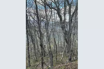 Lot 40 Silver Fox Drive, Blowing Rock, NC 28605 - Photo 1