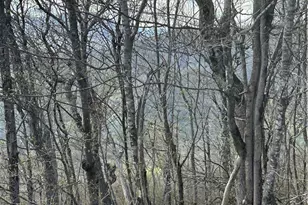 Lot 40 Silver Fox Dr, Blowing Rock, NC 28605 - Photo 1