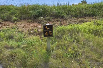 Lot 45 Foxfire Drive, Banner Elk, NC 28604 - Photo 21