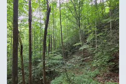 6059 Mount Zion, Ferguson, NC 28624 - Photo 31