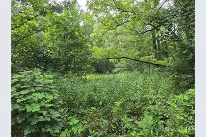 6059 Mount Zion, Ferguson, NC 28624 - Photo 19