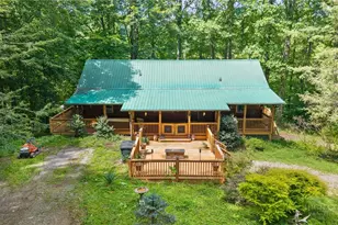 2417 Russ Norris Rd, Elk Park, NC 28622 - Photo 7