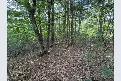 Lot 119 Rich Pine Drive, Purlear, NC 28665 - Photo 5
