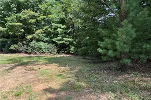 Lot 119 Rich Pine Dr, Purlear, NC 28665 - Photo 1