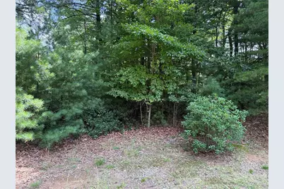 Lot 119 Rich Pine Drive, Purlear, NC 28665 - Photo 7
