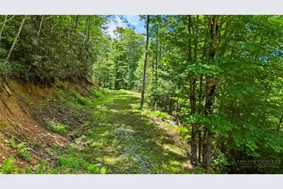 6740 Timber Rock Drive, Lenoir, NC 28645 - Photo 19