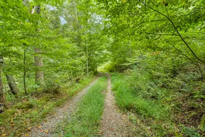 1768 Beaver Dam Road, Vilas, NC 28692 - Photo 1