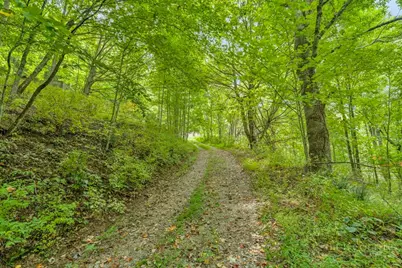 1768 Beaver Dam Road, Vilas, NC 28692 - Photo 5