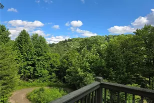 7568 Big Laurel Rd, Creston, NC 28615 - Photo 27