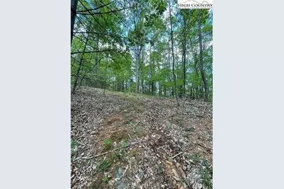 Tbd Edwin Blevins Road, Jefferson, NC 28640 - Photo 5