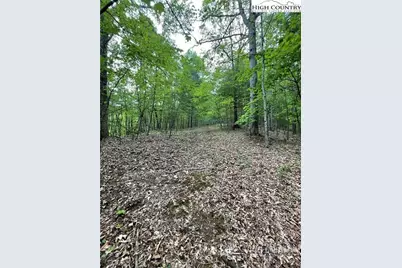 Tbd Edwin Blevins Road, Jefferson, NC 28640 - Photo 3