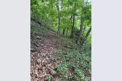 Tbd Edwin Blevins Road, Jefferson, NC 28640 - Photo 23