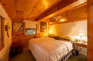 151 Red Tailed Hawk Rd, Banner Elk, NC 28604 - Photo 17
