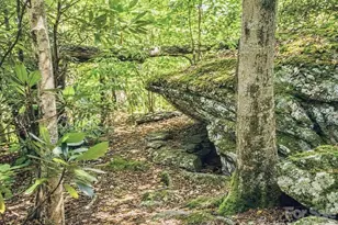 1361 Longhope Rd, Todd, NC 28684 - Photo 35
