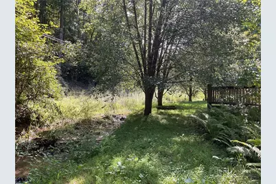 636 Dark Hollow Road, Elk Park, NC 28622 - Photo 23