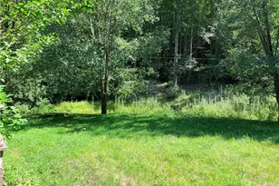 636 Dark Hollow Rd, Elk Park, NC 28622 - Photo 27