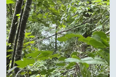 Lot 42 Sunset Drive, Elk Park, NC 28622 - Photo 11