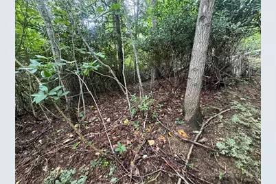 Lot 42 Sunset Drive, Elk Park, NC 28622 - Photo 9