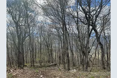 Lot 41 Silver Fox Drive, Blowing Rock, NC 28605 - Photo 1